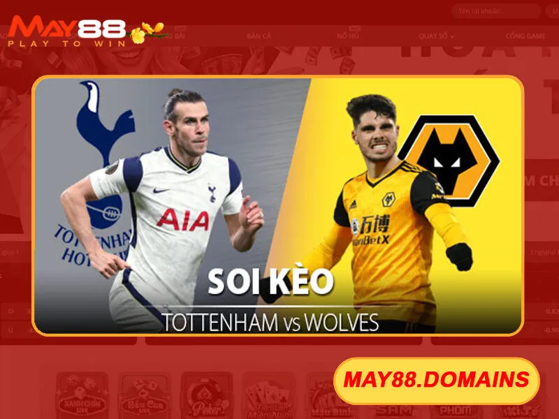 Tottenham Hotspur và Wolverhampton Wanderers